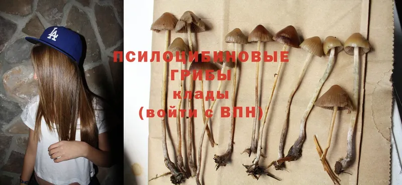 Псилоцибиновые грибы Magic Shrooms  Нолинск 